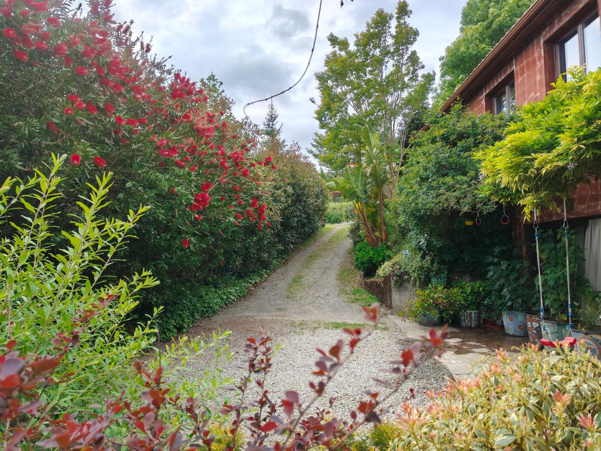 Cabañas Apartamentos Rosa Jove מראה חיצוני תמונה